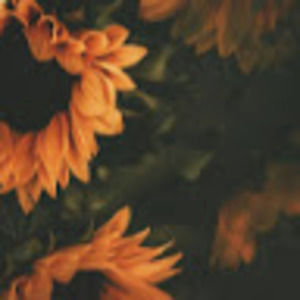 Meet your Posher, Hayley